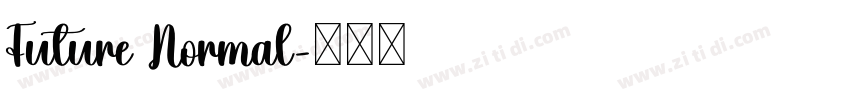 Future Normal字体转换